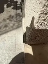 Wet-Pussycat webcam model stream image