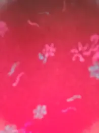 Dianaa9 webcam model stream image