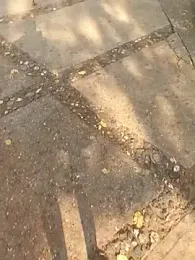 andresj22hot webcam stripchat model stream image