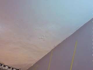 sofiapink webcam model stream image