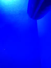 Mrkarizma webcam model stream image