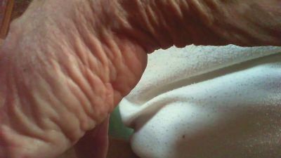 Zevioo77 webcam model stream image