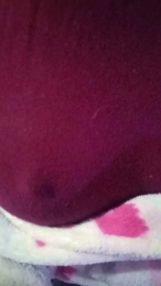 Dani_Safad4 webcam model stream image