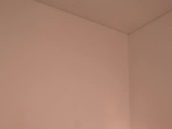 my_stella webcam model stream image