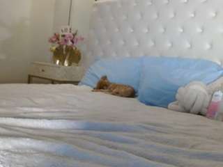 giannalove webcam model stream image