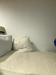 capu-x webcam model stream image