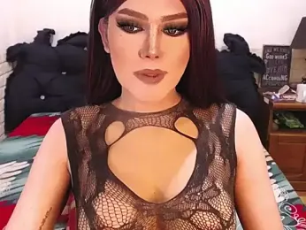 WILDDENNY1 webcam model stream image