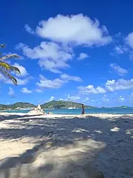 Papii97150 webcam stripchat model stream image