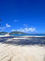 Papii97150 webcam stripchat model stream image