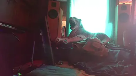 SissiDomination webcam model stream image