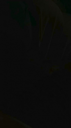 Lobovk82 webcam cam4 model stream image
