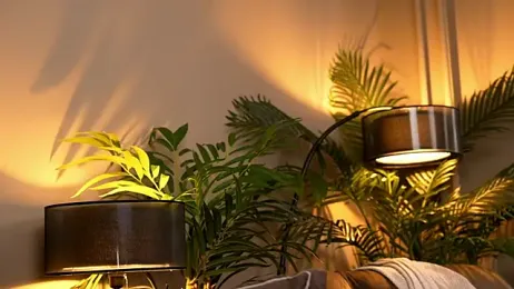 _keeti_ webcam model stream image