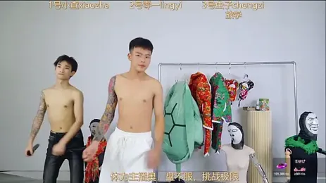 HA_HA_ webcam model stream image