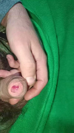 daniel6003 webcam model stream image