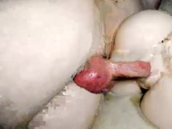 insert_token_icum webcam chaturbate model stream image