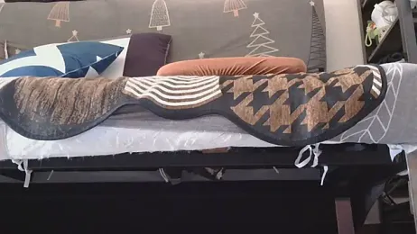 866532 webcam model stream image