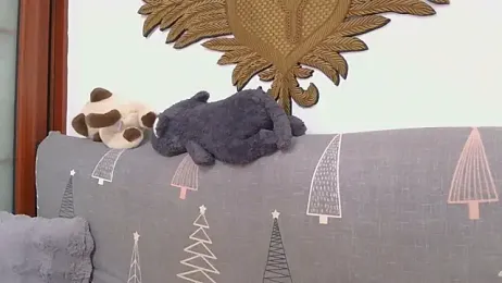 866532 webcam model stream image