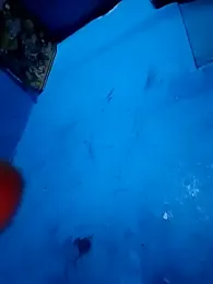 ruchigoutam webcam stripchat model stream image