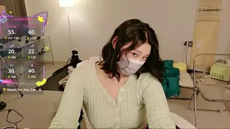 Kor_Cat webcam stripchat model stream image