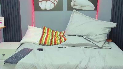 _Lemmon_ webcam model stream image