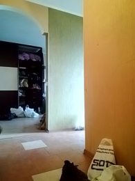 DjiniCD webcam model stream image