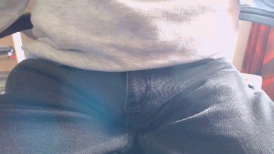 Linienpiilot webcam model stream image
