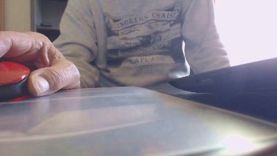 Linienpiilot webcam model stream image