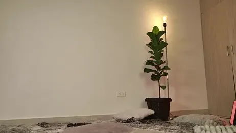 lady_ni_ webcam stripchat model stream image