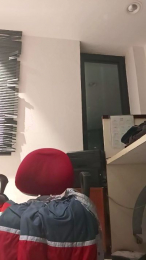 Porcellinii webcam model stream image