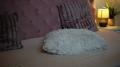 MaiaMini webcam model stream image