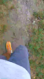 pandarosso1 webcam model stream image