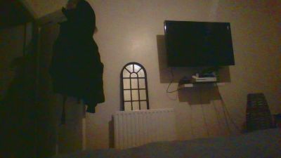 honeybee41 webcam model stream image