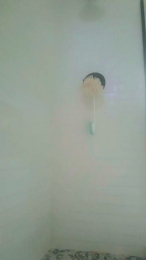 ZorroFan webcam cam4 model stream image