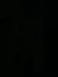 min9811 webcam model stream image