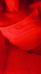 Alice98 webcam model stream image