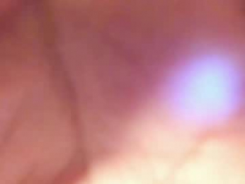 wvxxxvw webcam model stream image