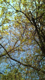 Normanhot82 webcam model stream image