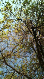 Normanhot82 webcam model stream image