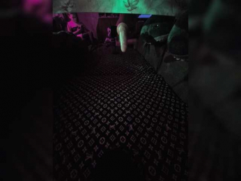 ASSROCKET webcam model stream image