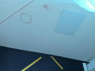 Miia Fontana webcam model stream image