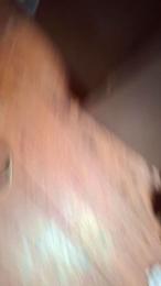 PanchoMaipu webcam model stream image