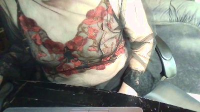Ritsch17 webcam model stream image