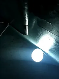 RandalHot webcam model stream image