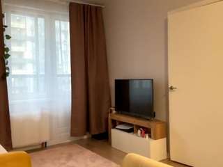 ashlieforslund webcam camsoda model stream image