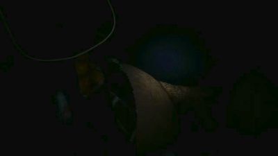 Leocesar37 webcam model stream image