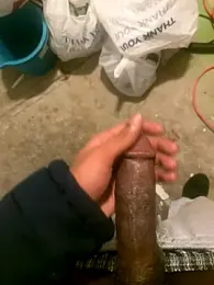 dingoding webcam model stream image