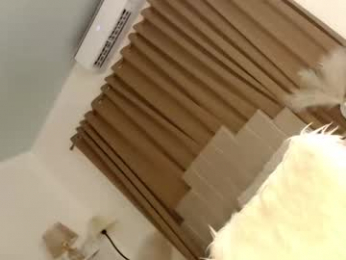 urnauthy_ciliaxxx webcam model stream image