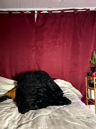 CRAZY-BOY99 webcam stripchat model stream image