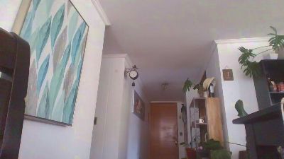 YoDavidVR webcam model stream image