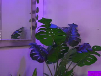 calypso_and_ge1 webcam model stream image